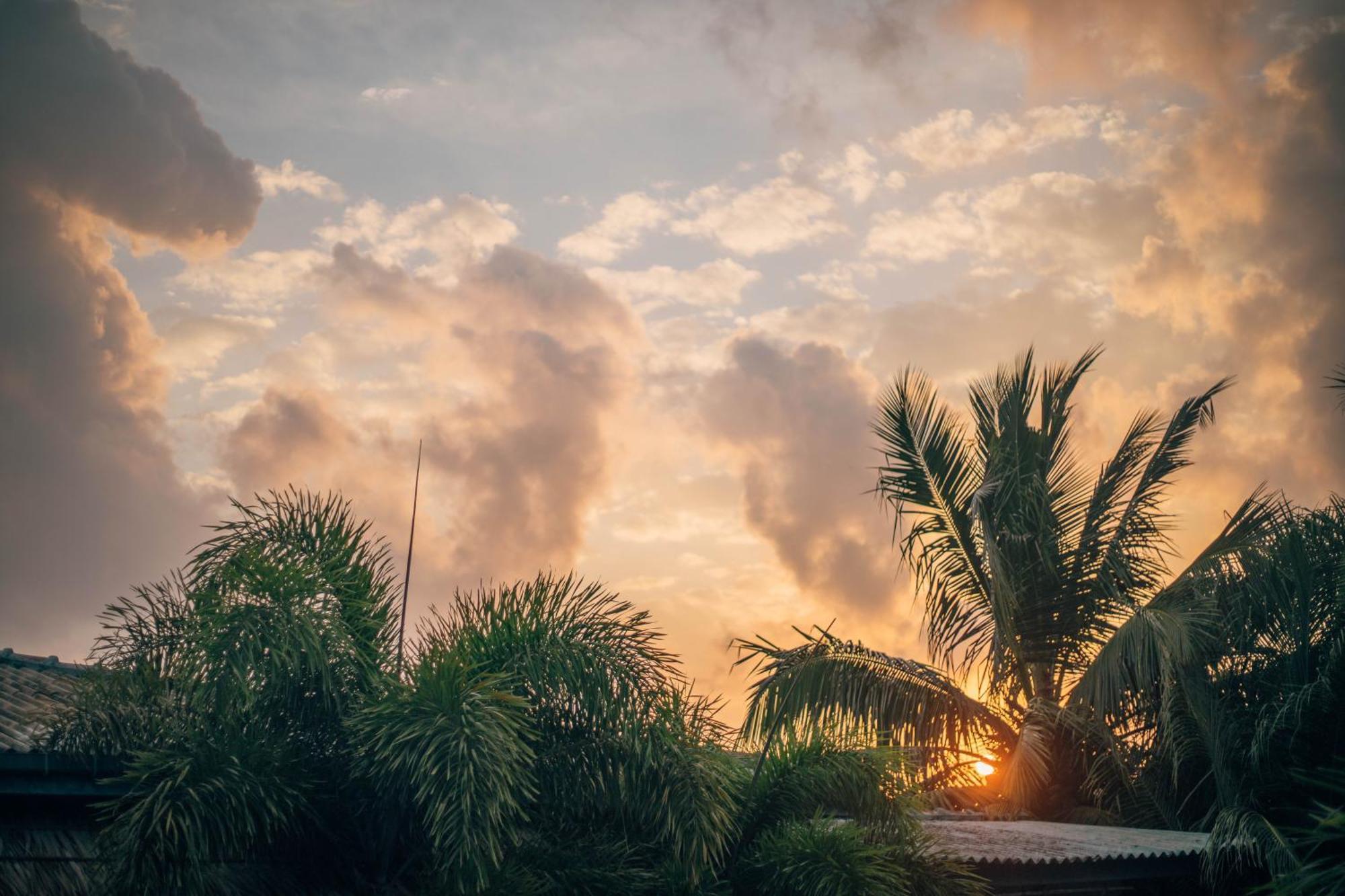 Shell Resort アルガムベイ エクステリア 写真